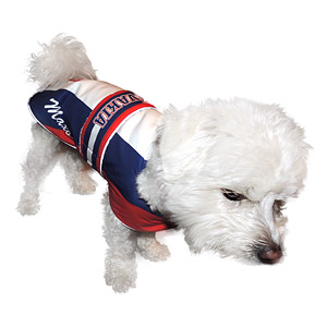 Slovakia clothes for dogs